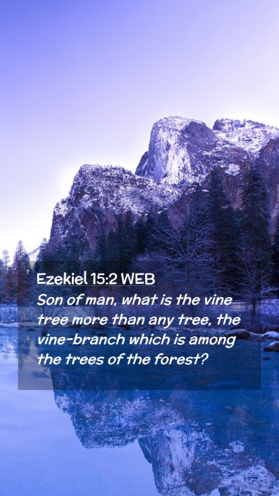 Picture 02 - Ezekiel 15:2 WEB Mobile Phone Wallpaper - Son of man, what is the vine tree more than any - Mobile Bible Verse Wallpaper