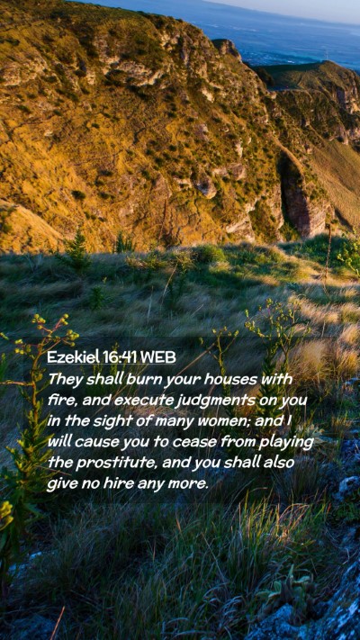 Picture 02 - Ezekiel 16:41 WEB Mobile Phone Wallpaper - They shall burn your houses with fire, and - Mobile Bible Verse Wallpaper