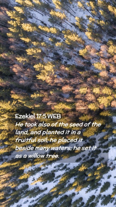 Picture 02 - Ezekiel 17:5 WEB Mobile Phone Wallpaper - He took also of the seed of the land, and planted - Mobile Bible Verse Wallpaper