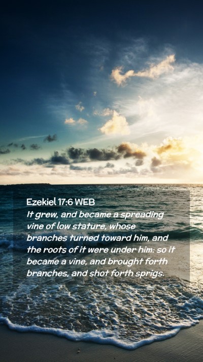 Picture 02 - Ezekiel 17:6 WEB Mobile Phone Wallpaper - It grew, and became a spreading vine of low - Mobile Bible Verse Wallpaper