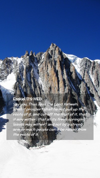 Picture 02 - Ezekiel 17:9 WEB Mobile Phone Wallpaper - Say you, Thus says the Lord Yahweh: Shall it - Mobile Bible Verse Wallpaper