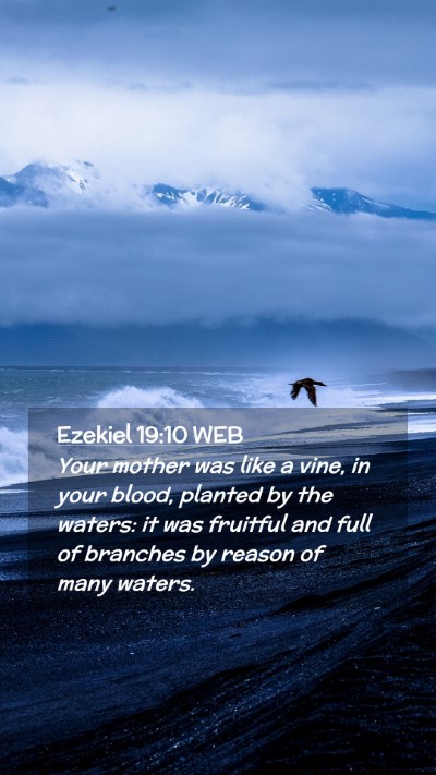 Picture 02 - Ezekiel 19:10 WEB Mobile Phone Wallpaper - Your mother was like a vine, in your blood, - Mobile Bible Verse Wallpaper
