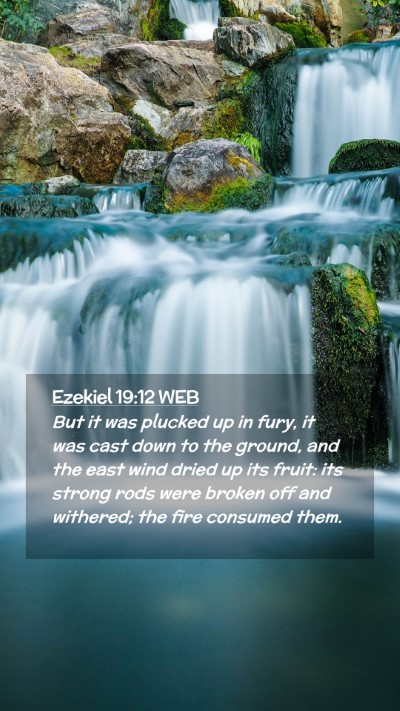 Picture 02 - Ezekiel 19:12 WEB Mobile Phone Wallpaper - But it was plucked up in fury, it was cast down - Mobile Bible Verse Wallpaper
