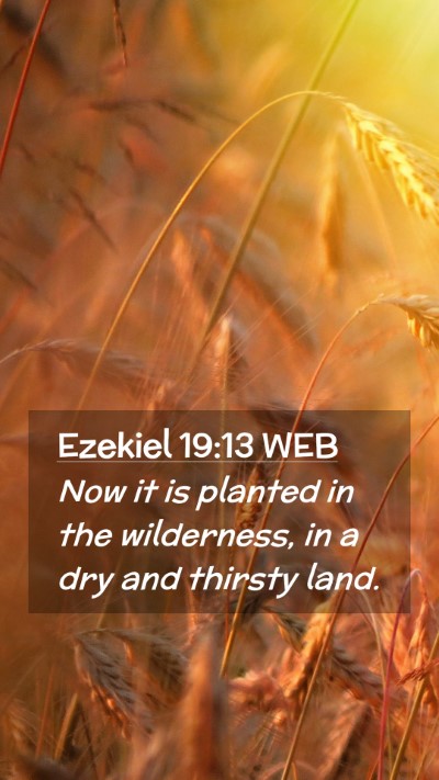 Picture 02 - Ezekiel 19:13 WEB Mobile Phone Wallpaper - Now it is planted in the wilderness, in a dry and - Mobile Bible Verse Wallpaper