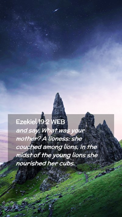 Picture 02 - Ezekiel 19:2 WEB Mobile Phone Wallpaper - and say, What was your mother? A lioness: she - Mobile Bible Verse Wallpaper