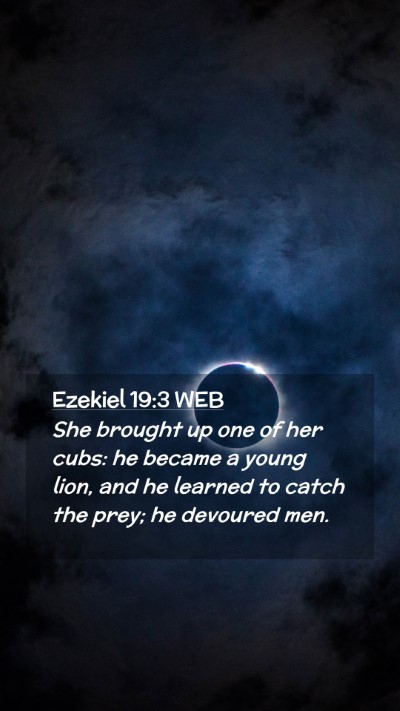 Picture 02 - Ezekiel 19:3 WEB Mobile Phone Wallpaper - She brought up one of her cubs: he became a young - Mobile Bible Verse Wallpaper