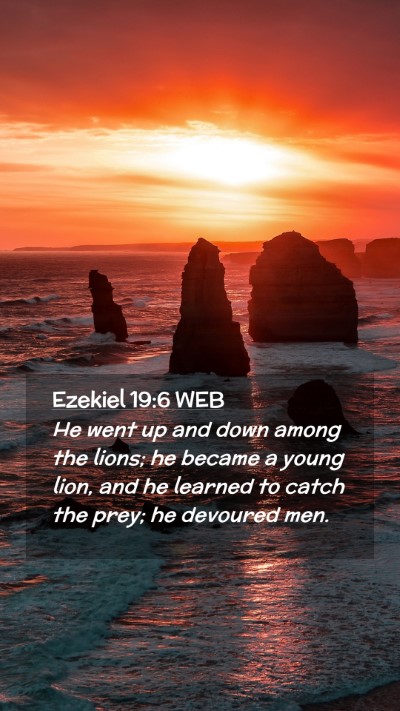 Picture 02 - Ezekiel 19:6 WEB Mobile Phone Wallpaper - He went up and down among the lions; he became a - Mobile Bible Verse Wallpaper
