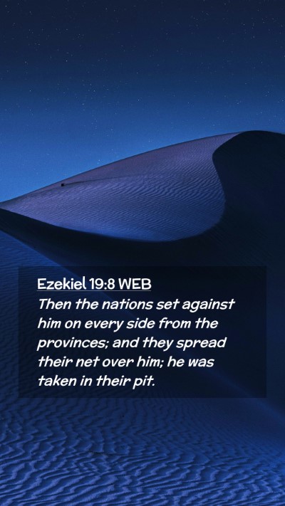 Picture 02 - Ezekiel 19:8 WEB Mobile Phone Wallpaper - Then the nations set against him on every side - Mobile Bible Verse Wallpaper