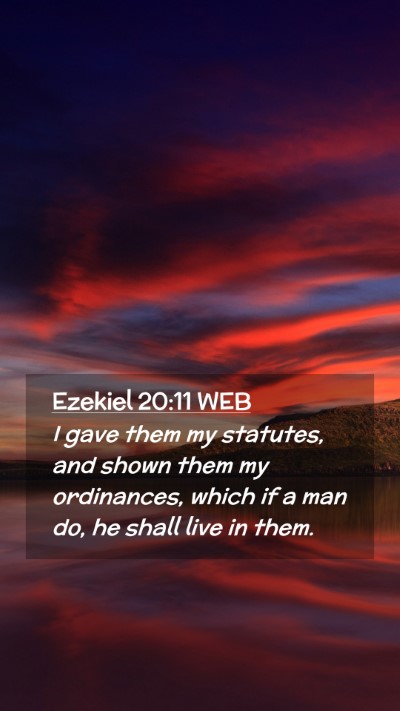 Picture 02 - Ezekiel 20:11 WEB Mobile Phone Wallpaper - I gave them my statutes, and shown them my - Mobile Bible Verse Wallpaper
