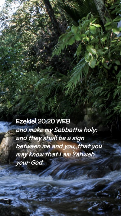 Picture 02 - Ezekiel 20:20 WEB Mobile Phone Wallpaper - and make my Sabbaths holy; and they shall be a - Mobile Bible Verse Wallpaper