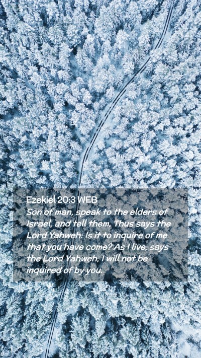 Picture 02 - Ezekiel 20:3 WEB Mobile Phone Wallpaper - Son of man, speak to the elders of Israel, and - Mobile Bible Verse Wallpaper
