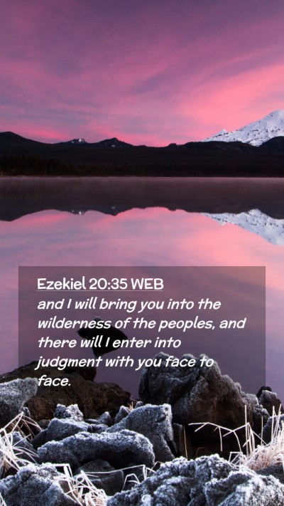 Picture 02 - Ezekiel 20:35 WEB Mobile Phone Wallpaper - and I will bring you into the wilderness of the - Mobile Bible Verse Wallpaper