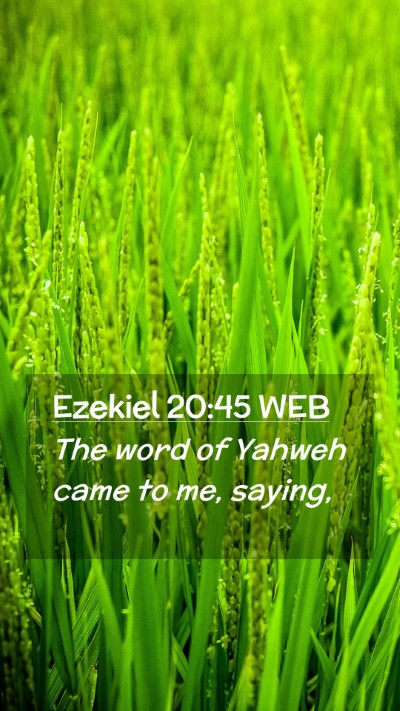 Picture 02 - Ezekiel 20:45 WEB Mobile Phone Wallpaper - The word of Yahweh came to me, - Mobile Bible Verse Wallpaper