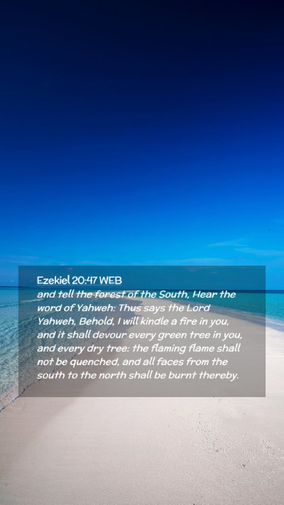 Picture 02 - Ezekiel 20:47 WEB Mobile Phone Wallpaper - and tell the forest of the South, Hear the word - Mobile Bible Verse Wallpaper