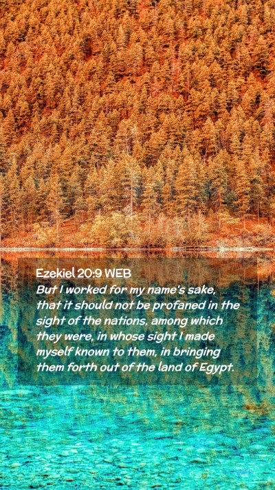 Picture 02 - Ezekiel 20:9 WEB Mobile Phone Wallpaper - But I worked for my name's sake, that it should - Mobile Bible Verse Wallpaper