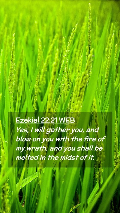 Picture 02 - Ezekiel 22:21 WEB Mobile Phone Wallpaper - Yes, I will gather you, and blow on you with the - Mobile Bible Verse Wallpaper