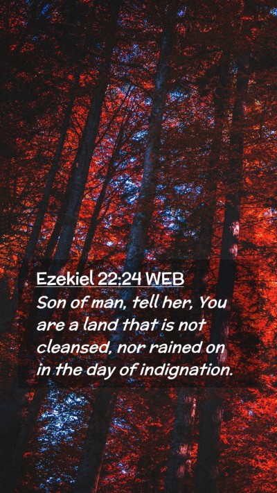 Picture 02 - Ezekiel 22:24 WEB Mobile Phone Wallpaper - Son of man, tell her, You are a land that is not - Mobile Bible Verse Wallpaper