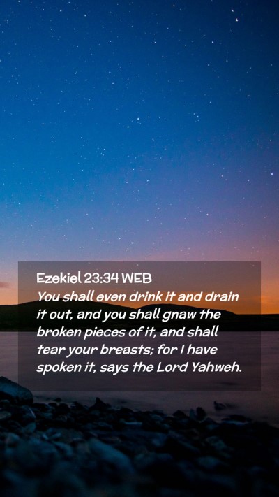 Picture 02 - Ezekiel 23:34 WEB Mobile Phone Wallpaper - You shall even drink it and drain it out, and you - Mobile Bible Verse Wallpaper