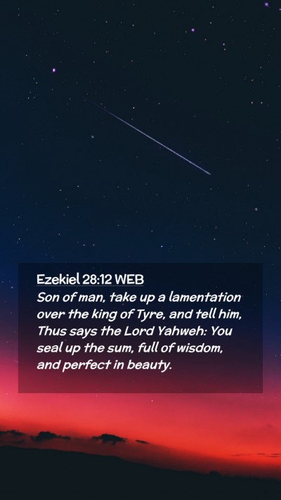Picture 02 - Ezekiel 28:12 WEB Mobile Phone Wallpaper - Son of man, take up a lamentation over the king - Mobile Bible Verse Wallpaper