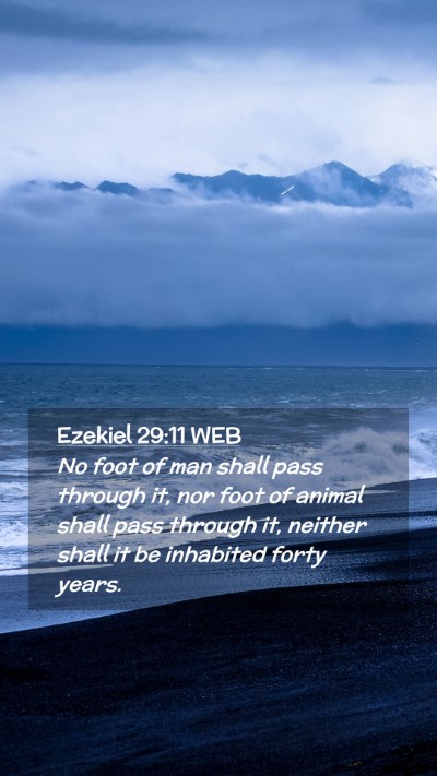 Picture 02 - Ezekiel 29:11 WEB Mobile Phone Wallpaper - No foot of man shall pass through it, nor foot of - Mobile Bible Verse Wallpaper