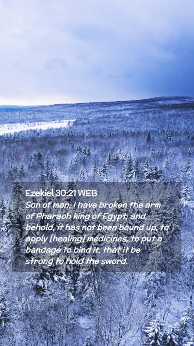 Picture 02 - Ezekiel 30:21 WEB Mobile Phone Wallpaper - Son of man, I have broken the arm of Pharaoh king - Mobile Bible Verse Wallpaper
