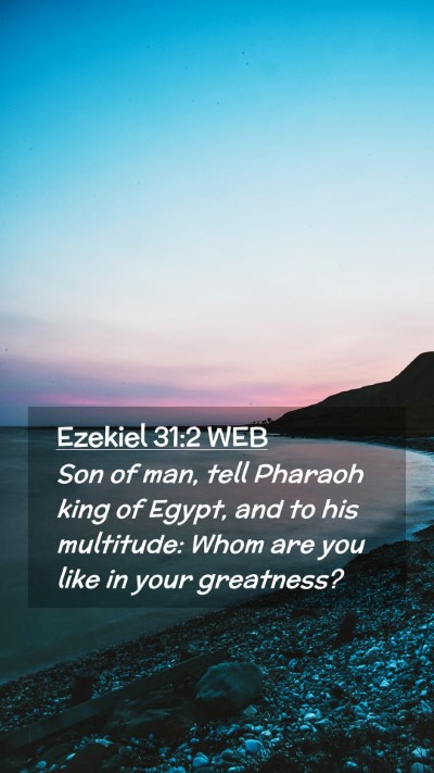 Picture 02 - Ezekiel 31:2 WEB Mobile Phone Wallpaper - Son of man, tell Pharaoh king of Egypt, and to - Mobile Bible Verse Wallpaper