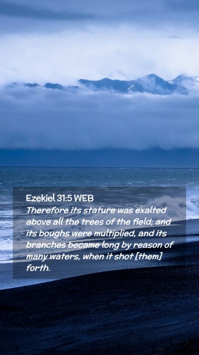 Picture 02 - Ezekiel 31:5 WEB Mobile Phone Wallpaper - Therefore its stature was exalted above all the - Mobile Bible Verse Wallpaper