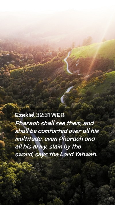 Picture 02 - Ezekiel 32:31 WEB Mobile Phone Wallpaper - Pharaoh shall see them, and shall be comforted - Mobile Bible Verse Wallpaper