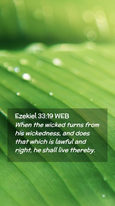 Picture 02 - Ezekiel 33:19 WEB Mobile Phone Wallpaper - When the wicked turns from his wickedness, and - Mobile Bible Verse Wallpaper
