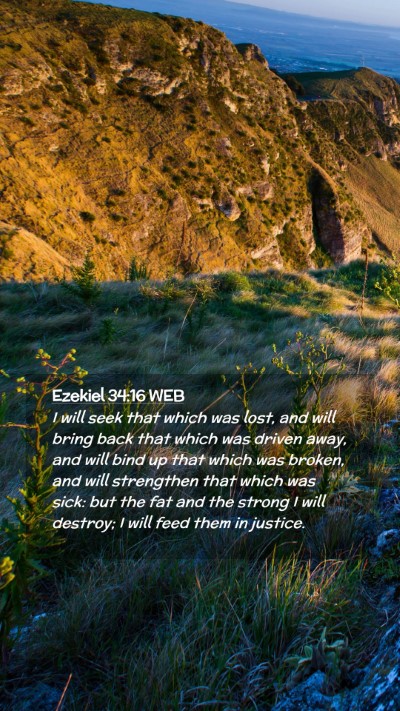 Picture 02 - Ezekiel 34:16 WEB Mobile Phone Wallpaper - I will seek that which was lost, and will bring - Mobile Bible Verse Wallpaper