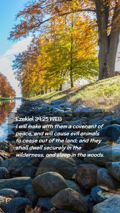Picture 02 - Ezekiel 34:25 WEB Mobile Phone Wallpaper - I will make with them a covenant of peace, and - Mobile Bible Verse Wallpaper