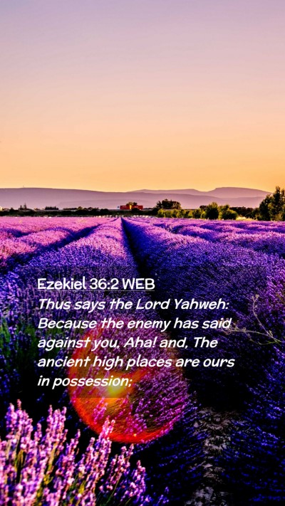 Picture 02 - Ezekiel 36:2 WEB Mobile Phone Wallpaper - Thus says the Lord Yahweh: Because the enemy has - Mobile Bible Verse Wallpaper