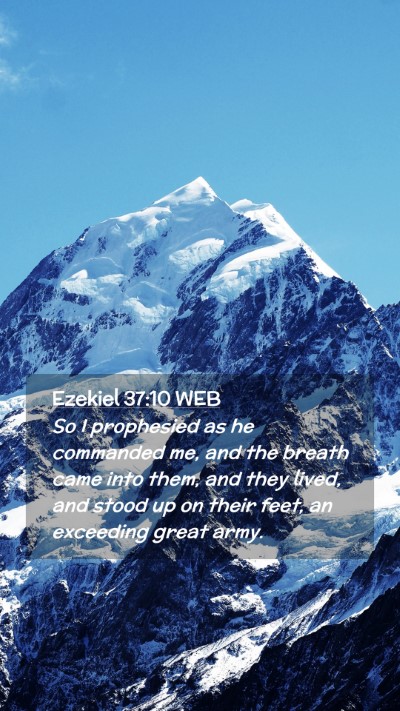 Picture 02 - Ezekiel 37:10 WEB Mobile Phone Wallpaper - So I prophesied as he commanded me, and the - Mobile Bible Verse Wallpaper