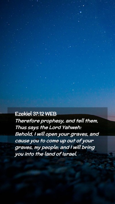 Picture 02 - Ezekiel 37:12 WEB Mobile Phone Wallpaper - Therefore prophesy, and tell them, Thus says the - Mobile Bible Verse Wallpaper