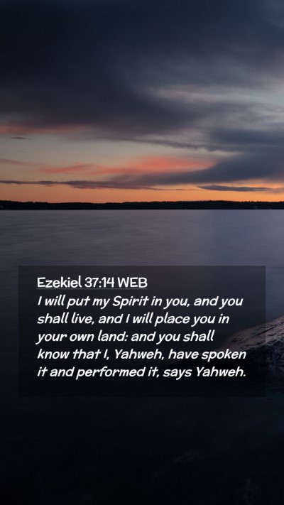 Picture 02 - Ezekiel 37:14 WEB Mobile Phone Wallpaper - I will put my Spirit in you, and you shall live, - Mobile Bible Verse Wallpaper