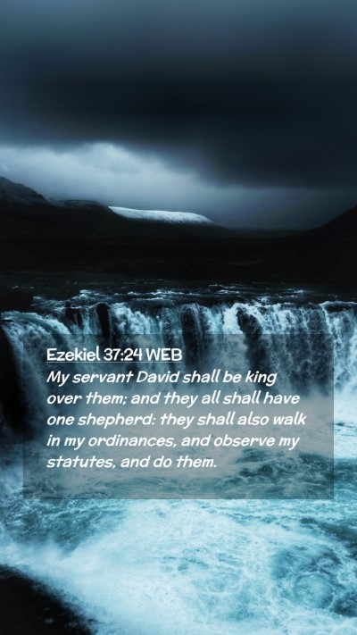 Picture 02 - Ezekiel 37:24 WEB Mobile Phone Wallpaper - My servant David shall be king over them; and - Mobile Bible Verse Wallpaper