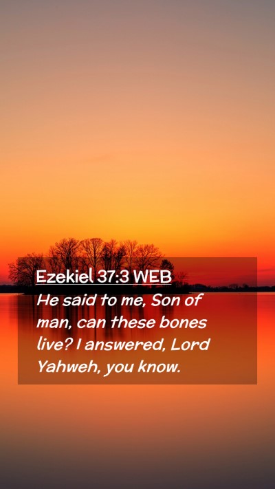 Picture 02 - Ezekiel 37:3 WEB Mobile Phone Wallpaper - He said to me, Son of man, can these bones live? - Mobile Bible Verse Wallpaper