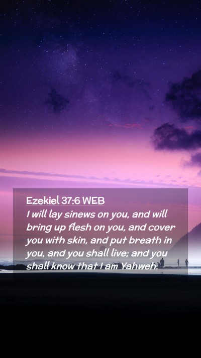 Picture 02 - Ezekiel 37:6 WEB Mobile Phone Wallpaper - I will lay sinews on you, and will bring up flesh - Mobile Bible Verse Wallpaper