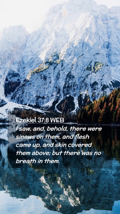 Picture 02 - Ezekiel 37:8 WEB Mobile Phone Wallpaper - I saw, and, behold, there were sinews on them, - Mobile Bible Verse Wallpaper