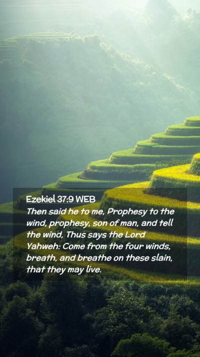Picture 02 - Ezekiel 37:9 WEB Mobile Phone Wallpaper - Then said he to me, Prophesy to the wind, - Mobile Bible Verse Wallpaper