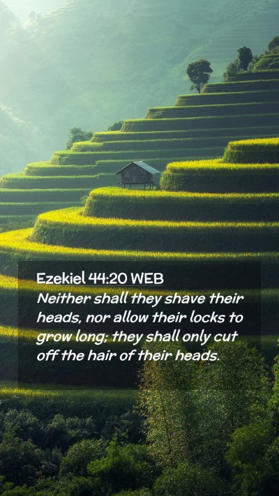 Picture 02 - Ezekiel 44:20 WEB Mobile Phone Wallpaper - Neither shall they shave their heads, nor allow - Mobile Bible Verse Wallpaper
