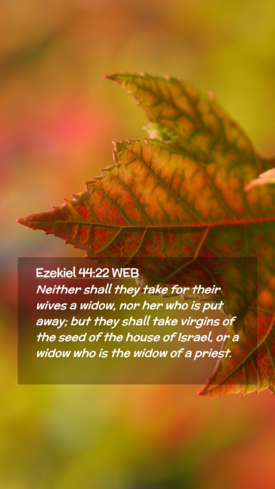 Picture 02 - Ezekiel 44:22 WEB Mobile Phone Wallpaper - Neither shall they take for their wives a widow, - Mobile Bible Verse Wallpaper