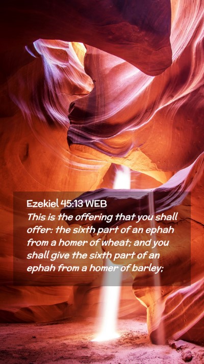 Picture 02 - Ezekiel 45:13 WEB Mobile Phone Wallpaper - This is the offering that you shall offer: the - Mobile Bible Verse Wallpaper