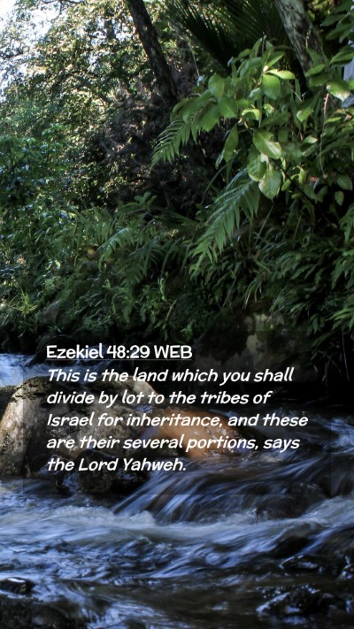Picture 02 - Ezekiel 48:29 WEB Mobile Phone Wallpaper - This is the land which you shall divide by lot to - Mobile Bible Verse Wallpaper