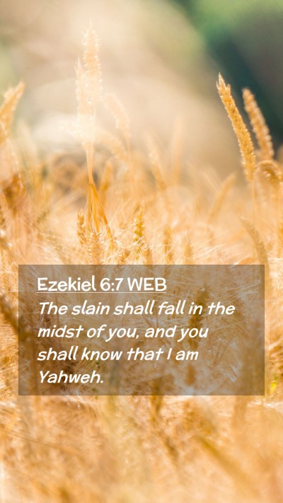 Picture 02 - Ezekiel 6:7 WEB Mobile Phone Wallpaper - The slain shall fall in the midst of you, and you - Mobile Bible Verse Wallpaper