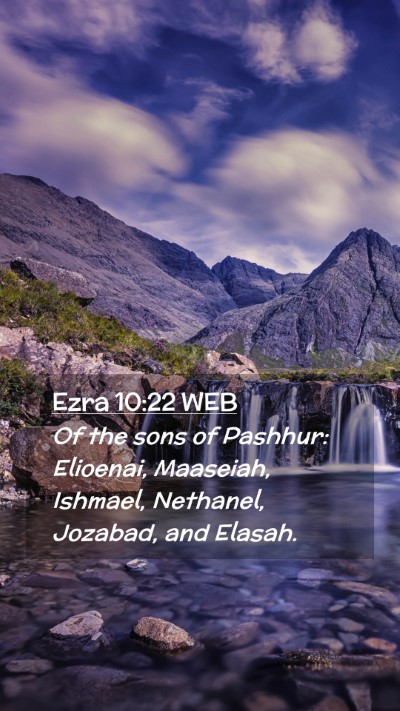 Picture 02 - Ezra 10:22 WEB Mobile Phone Wallpaper - Of the sons of Pashhur: Elioenai, Maaseiah, - Mobile Bible Verse Wallpaper