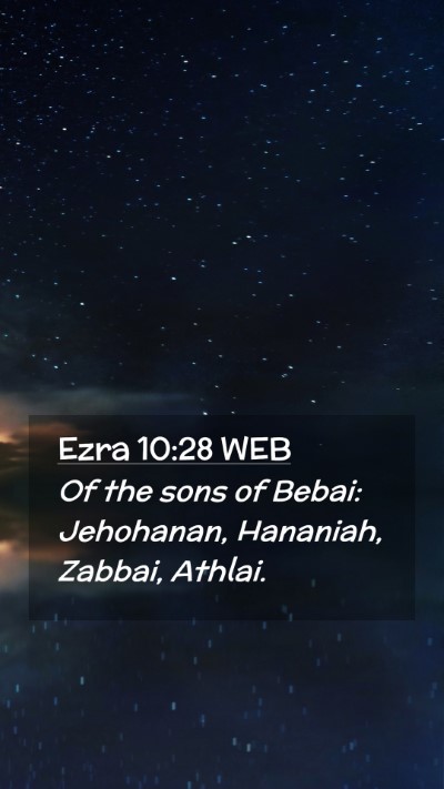 Picture 02 - Ezra 10:28 WEB Mobile Phone Wallpaper - Of the sons of Bebai: Jehohanan, Hananiah, - Mobile Bible Verse Wallpaper