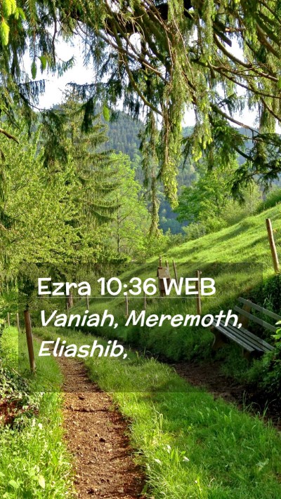 Picture 02 - Ezra 10:36 WEB Mobile Phone Wallpaper - Vaniah, Meremoth, - Mobile Bible Verse Wallpaper