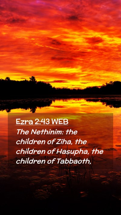 Picture 02 - Ezra 2:43 WEB Mobile Phone Wallpaper - The Nethinim: the children of Ziha, the children - Mobile Bible Verse Wallpaper