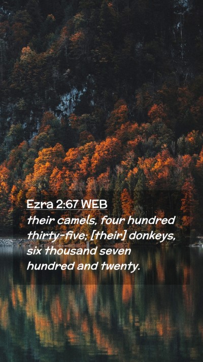 Picture 02 - Ezra 2:67 WEB Mobile Phone Wallpaper - their camels, four hundred thirty-five; [their] - Mobile Bible Verse Wallpaper